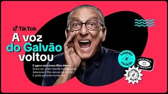 O banner de divulgação da chegada do novo filtro de voz.