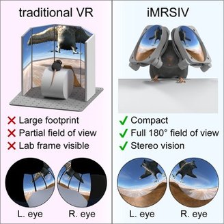 Difference between traditional VR and iMRSIV for mice.