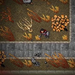 Imagem de Tibia: por que o jogo continua fazendo sucesso depois de 27 anos?