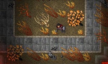 Tibia: por que o jogo continua fazendo sucesso depois de 27 anos?