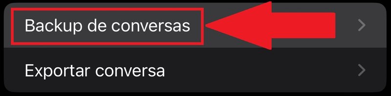 Procure pela opção "Backup de Conversas" deslizando a tela