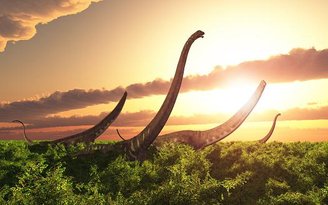 Leaf-eating, neckless sauropods lived to be 60 years old.