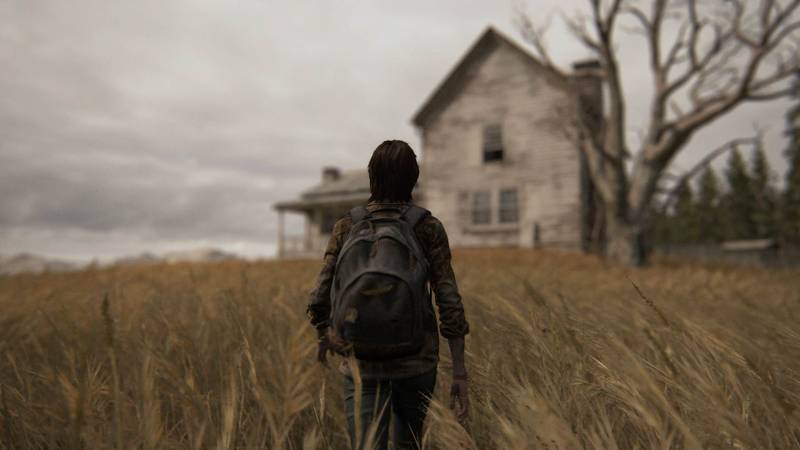Last of Us 3