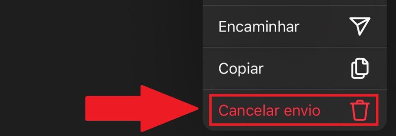 Aperte em "Cancelar envio" para excluir a mensagem