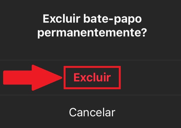 Aperte "Excluir" para apagar a conversa