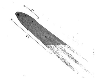 Representação feita do cometa Pons-Brooks em 1884.