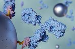 Imagem de Como ímãs podem afetar o fluxo sanguíneo? Descubra