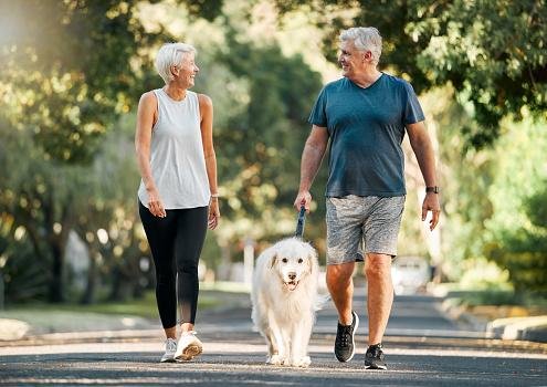 Dog walking - a caminhada com cães.