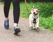 Ter animal de estimação te faz ser mais ativo?