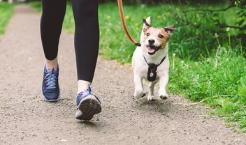 Ter animal de estimação te faz ser mais ativo?