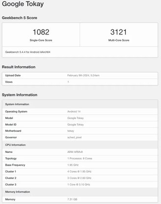 O Google Tokay é equipado com chipset de oito núcleos, sendo o principal deles com 3,10 GHz de frequência.