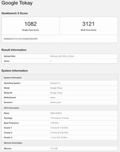 O Google Tokay é equipado com chipset de oito núcleos, sendo o principal deles com 3,10 GHz de frequência.