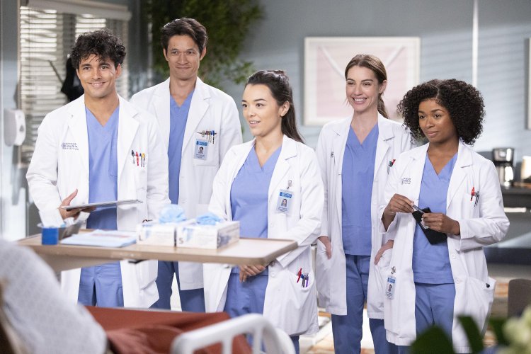 A 19ª temporada de Grey's Anatomy trouxe vários novos personagens para os fãs.