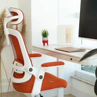 Imagem de Ergonomia: qual a sua importância na escolha de uma cadeira nova? 