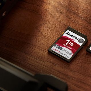 Imagem de Kingston lança novos cartões SD de alta velocidade com até 1 TB