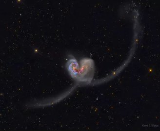 Antes de se fundirem em um formato de coração, a NGC 4038 era uma galáxia espiral barrada; já a NGC 4039 era uma galáxia espiral comum.