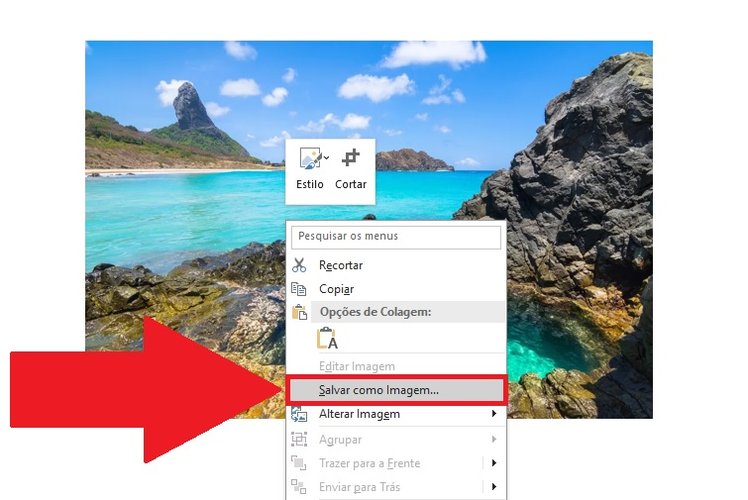 Clique em "Salvar como Imagem..." para fazer o download dela