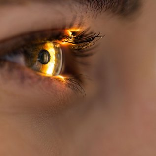 Imagem de Visão solar: painéis solares nos olhos podem restaurar a visão, diz estudo
