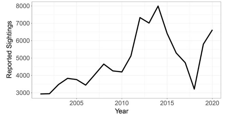 O gráfico apresenta o número de avistamentos ao decorrer dos 20 anos de dados.