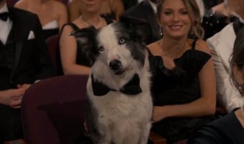 Oscar 2024: conheça o cachorro que roubou a cena na premiação