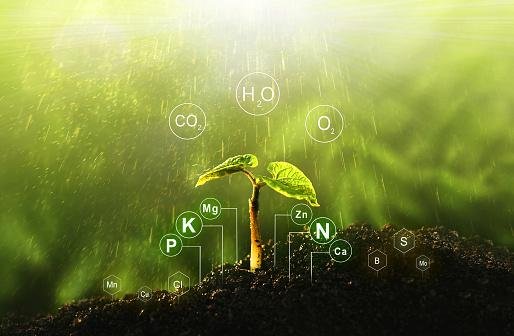 Autores fizeram uma análise química abrangente dos ciclos biogeoquímicos.