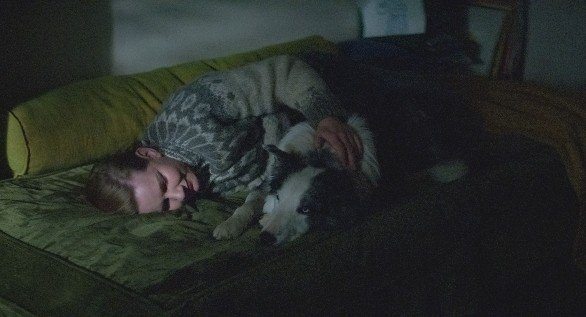 O border collie Messi venceu o Palm Dog Award no Festival de Cannes 2023.