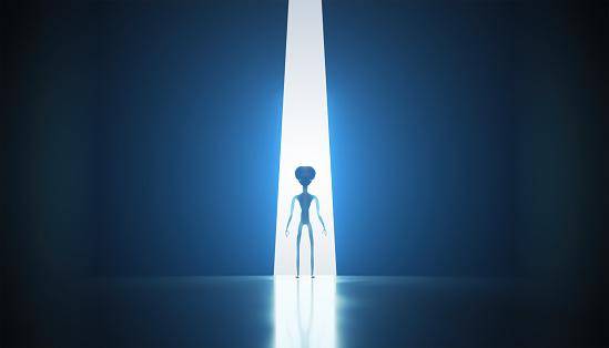 Provavelmente, existem diferentes formas de vida em outras partes do universo, mas a humanidade ainda não coletou nenhuma evidência sobre a possibilidade.