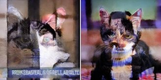 As imagens geradas a partir de mídias envenenadas pelo Nightshade são distorcidas e quase irreconhecíveis. (Imagem: NBC News/Reprodução)