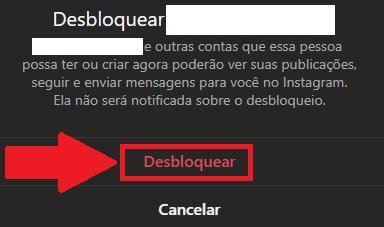 Clicando em "Desbloquear" você reverte o processo de bloqueio de um perfil