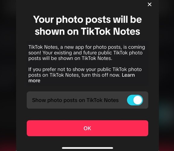 O aviso no app do TikTok que "entrega" a existência da nova ferramenta.