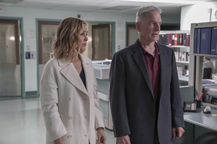 NCIS terá uma 22ª temporada e pelo menos duas novas produções derivadas.