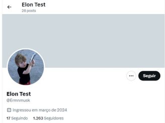 O perfil fake de Elon Musk no X ou alguém se passando por ele ainda está ativo.