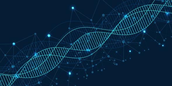 Os peptídeos são montados no espaço como nossas moléculas de DNA.