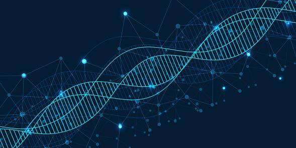 Os peptídeos são montados no espaço como nossas moléculas de DNA.