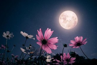 A Lua Cheia Rosa não é nenhum tipo de superlua; trata-se de um fenômeno comum.
