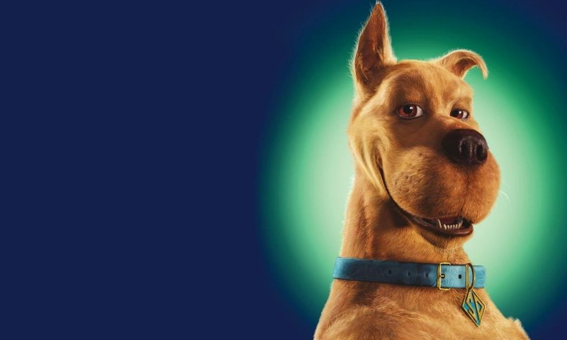 Scooby-Doo já teve algumas chances em live action