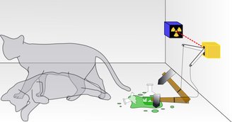 O paradoxo do gato de Schrödinger sugere que o gato está morto e vivo ao mesmo tempo, mas não é exatamente isso que o físico Erwin Schrödinger queria explicar.