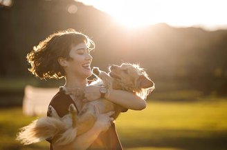 Plataforma baseada em IA permite reunir tutores e seus pets resgatados. (Imagem: Getty Images)