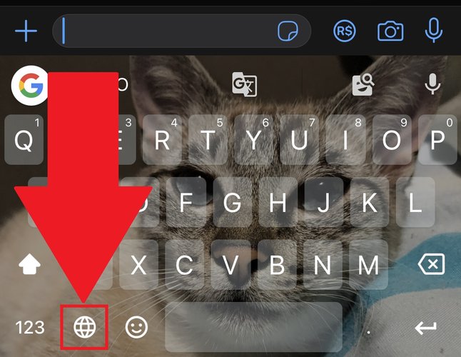 Aperte no símbolo do mapa-mundi para alterar entre os teclados disponíveis