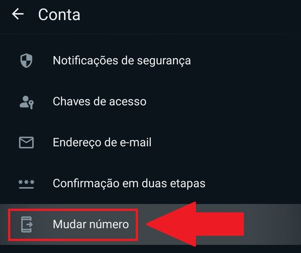 Procure pela opção "Mudar número".