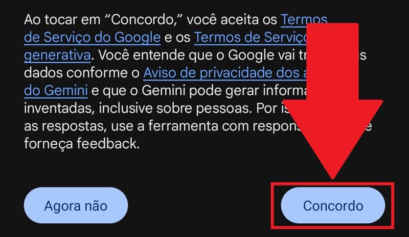 É preciso concordar com os termos para prosseguir com a instalação do Gemini.