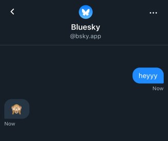 Inicialmente, é possível enviar apenas texto nas DMs da Bluesky.