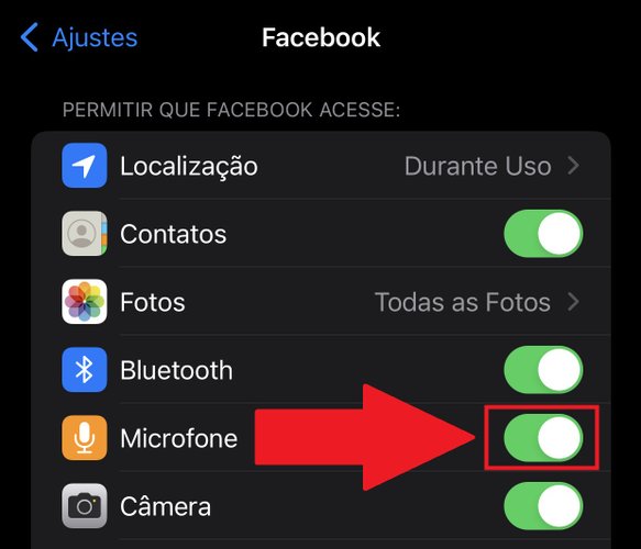 Procure pela opção "Microfone" para desativá-la