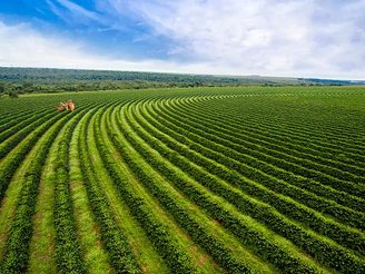 Por meio da tecnologia, agricultura também pode optar por soluções sustentáveis. (Getty Images/Reprodução)