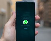 WhatsApp prepara temas para personalizar a aparência no iOS