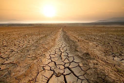 O clima pede socorro e as mudanças são urgentes.