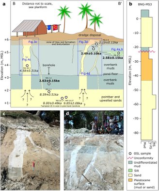 Diques verticais de areia branca em camadas horizontais de lama são evidências de terremotos.