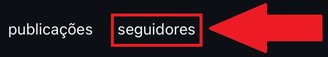 Aperte na opção "Seguidores" para ver a lista completa de perfis