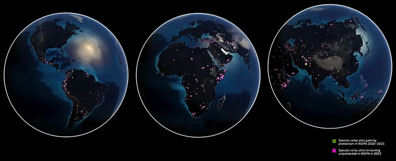 Os polígonos em magenta representam locais de espécies raras que permanecem desprotegidos.