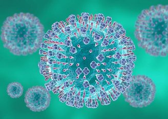 Os vírus gigantes são chamados assim porque possuem um código genômico maior e, consequentemente, um tamanho maior que o normal.